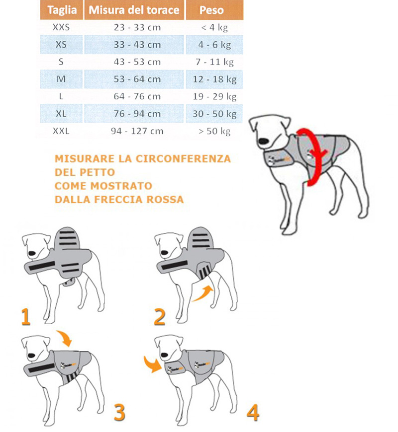 Pettorina anti ansia per cani: come funziona e i benefici