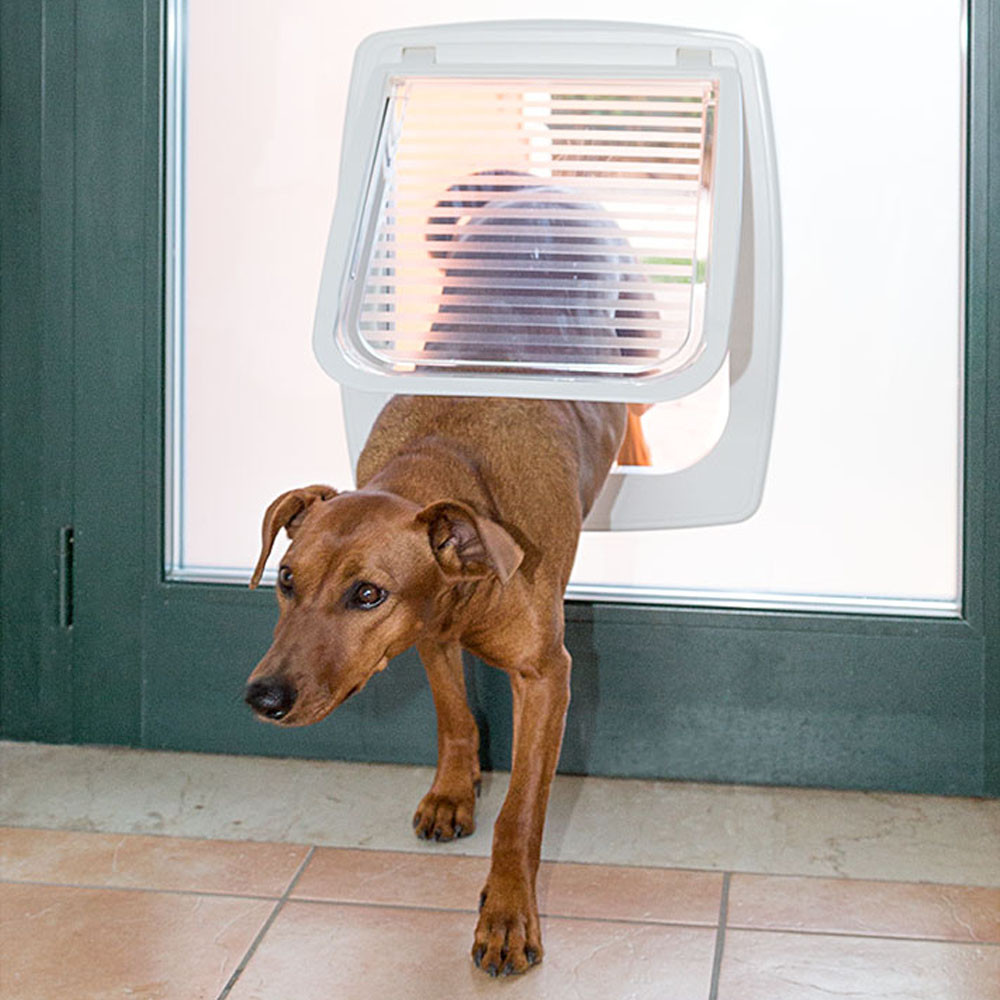 Camon In&Out Porta Basculante per Cani e Gatti