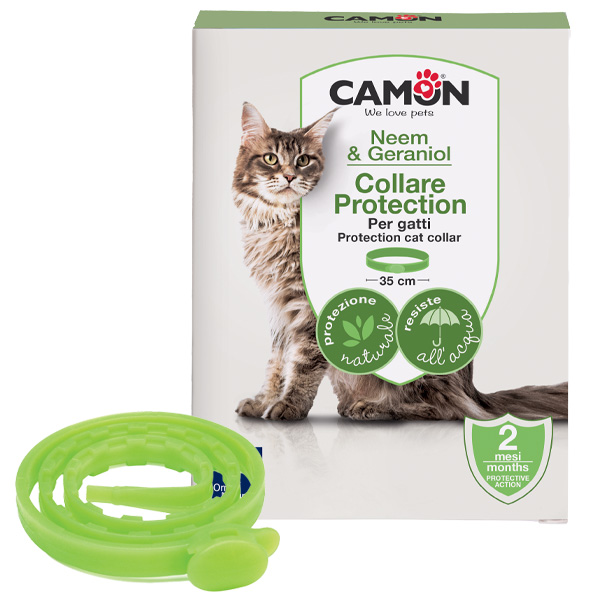 Custodia per occhiali con motivo carino di gatti cartoni animati
