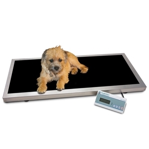 Misurino elettronico mangime per Cani e Animali con Bilancia— AYS1246