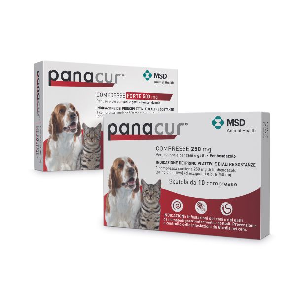 Msd Animal Health Youact Glico Per Cani 30 Bustine