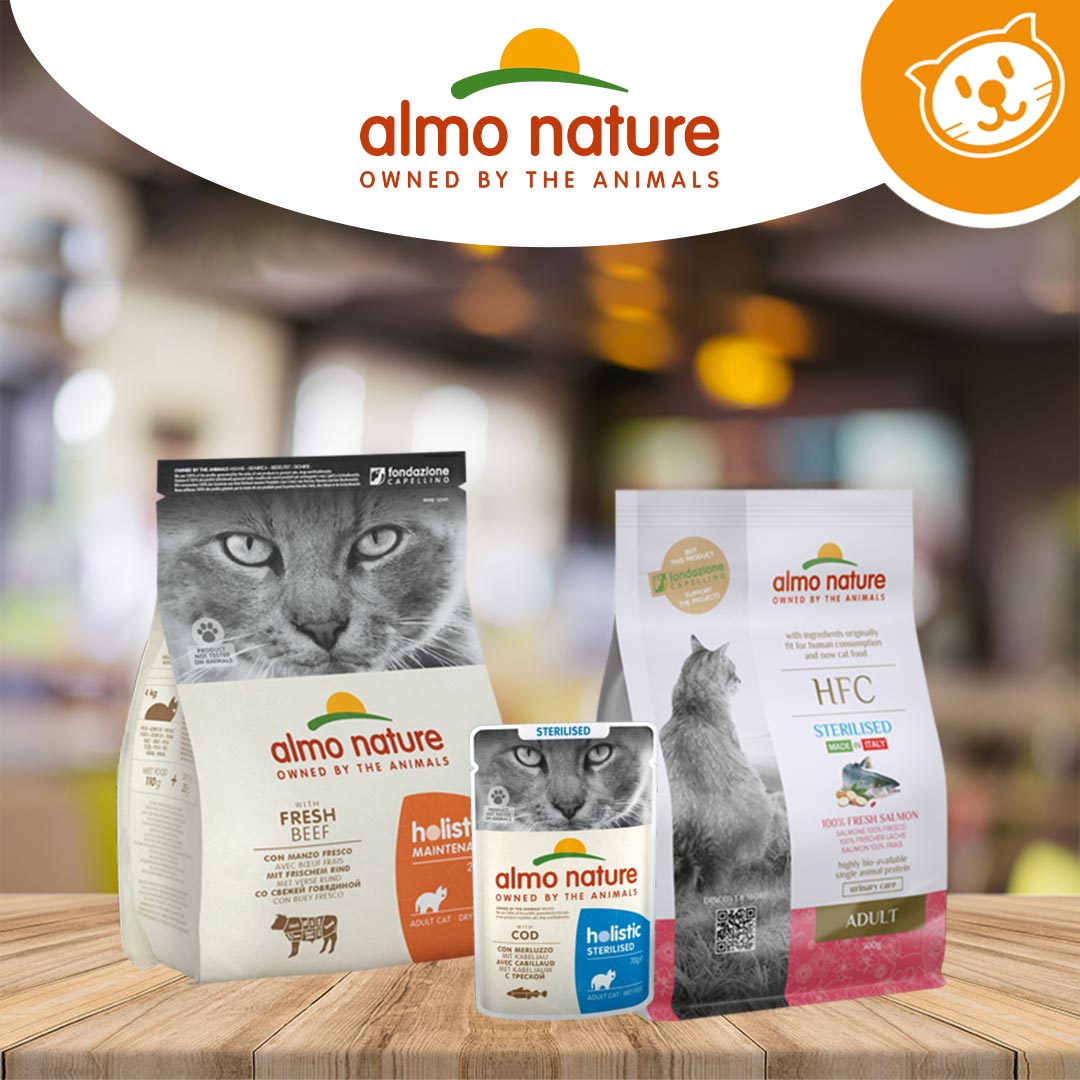 Almo Cat Secco e Umido