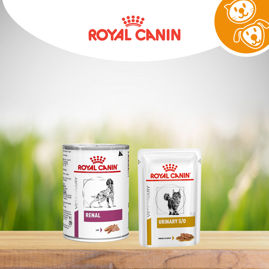 Royal Canin Cani&Gatti Umido Diet