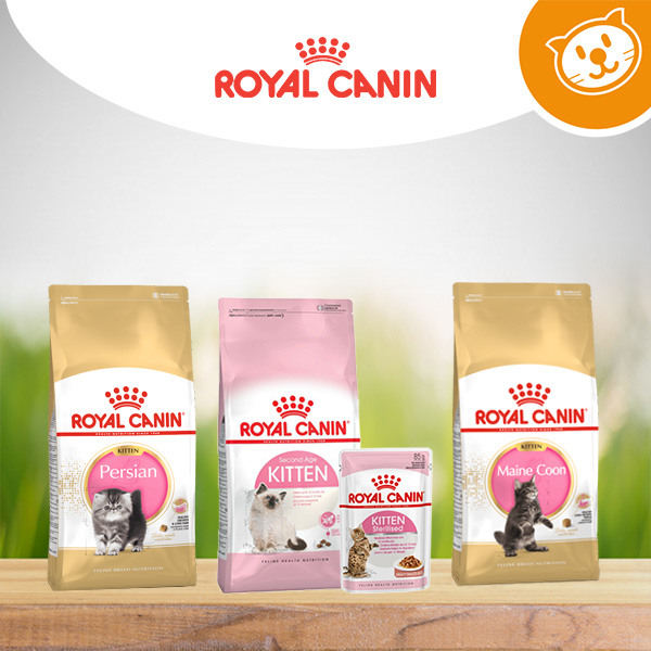 Royal Canin Gatti Kitten