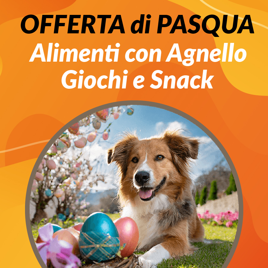 Promo Pasqua Cani Agnello