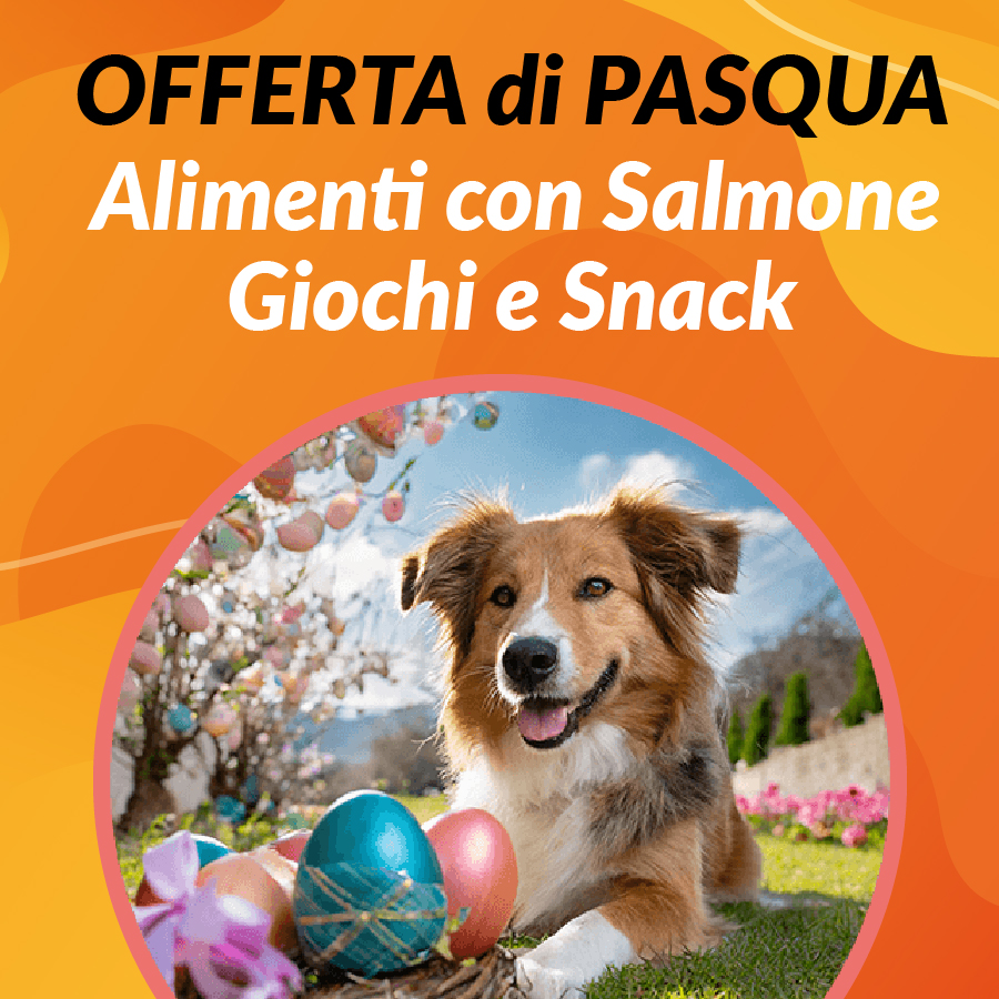 Promo Pasqua Cani Salmone