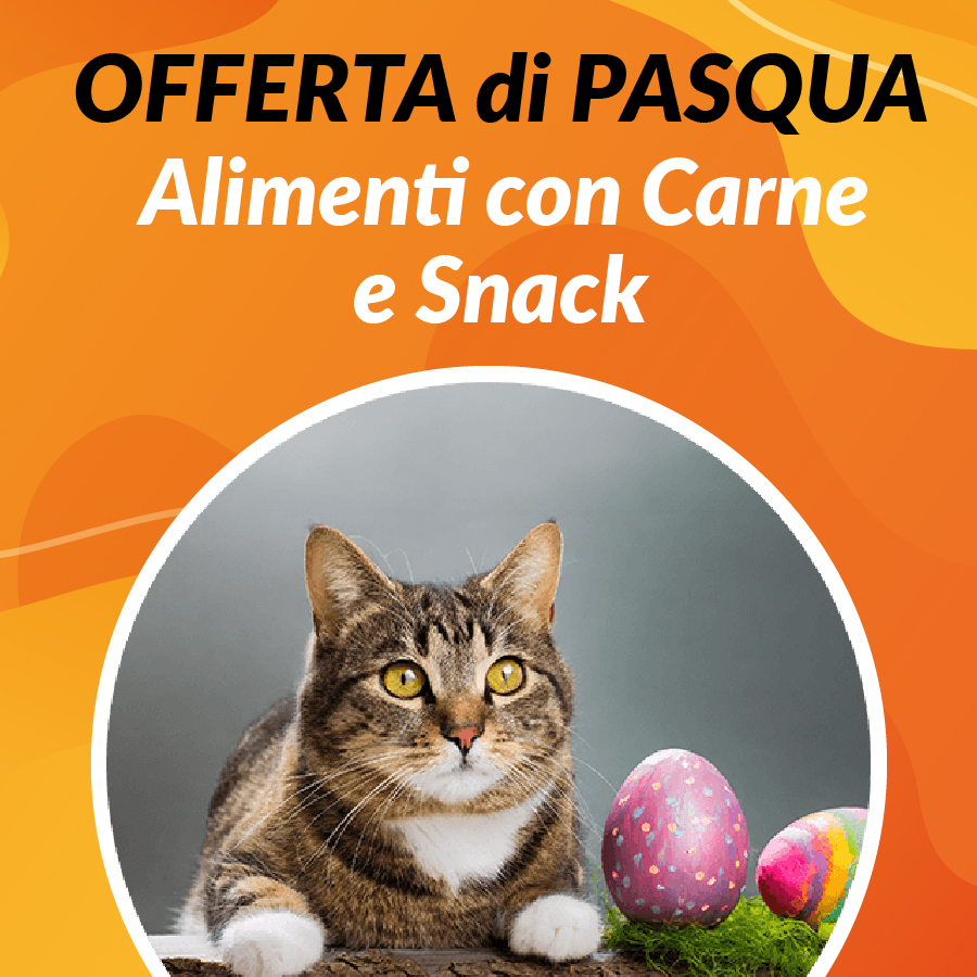Promo Pasqua Gatti Carne