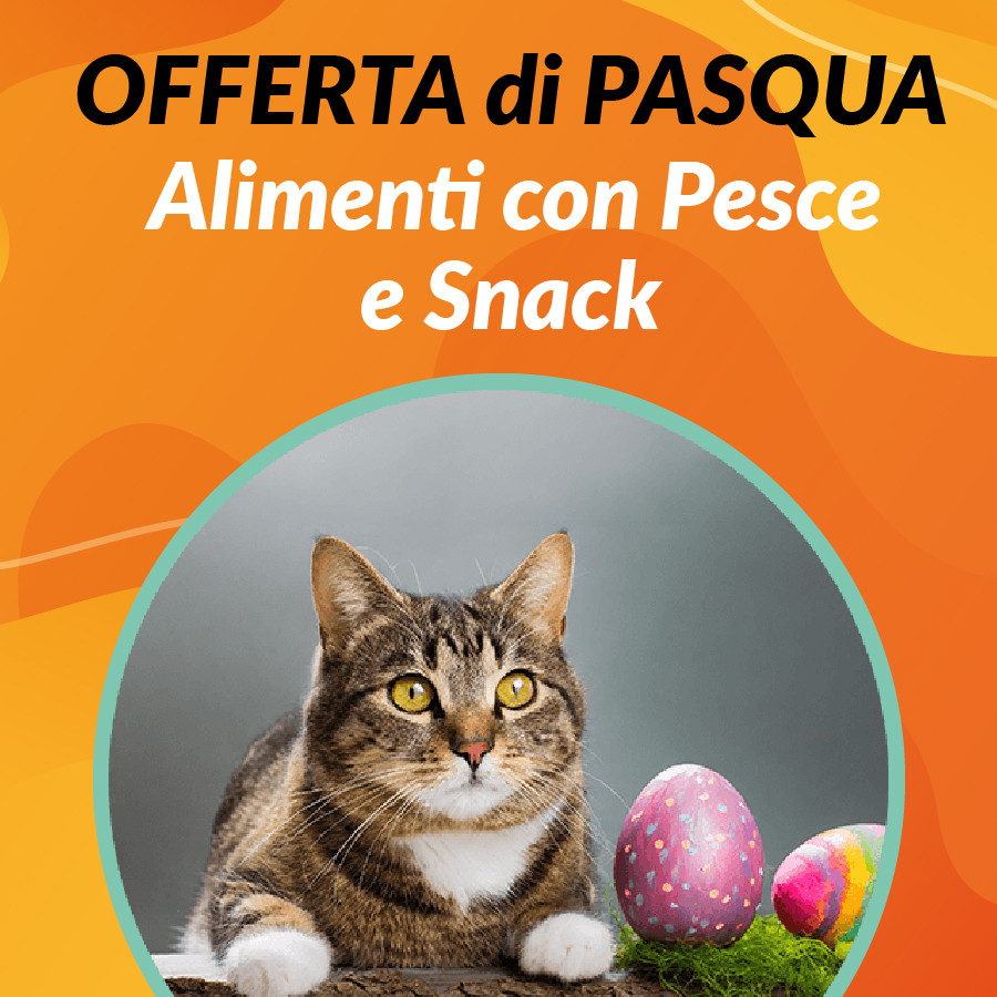 Promo Pasqua Gatti Pesce