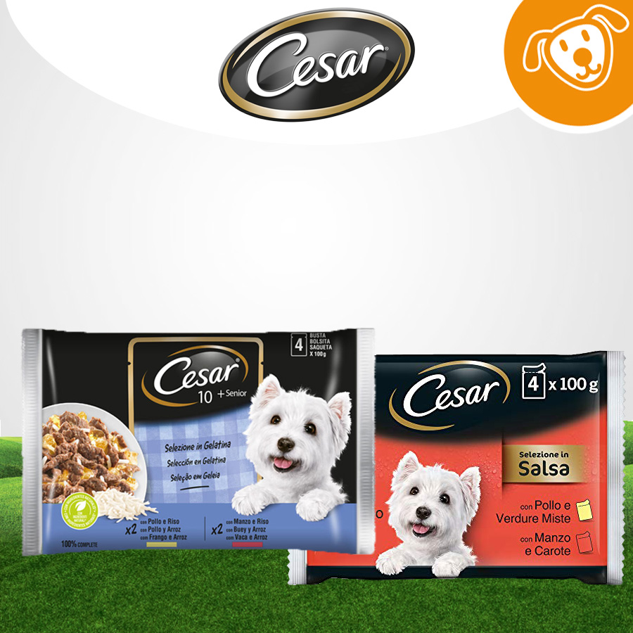 Cesar Dog Selezione Multipack