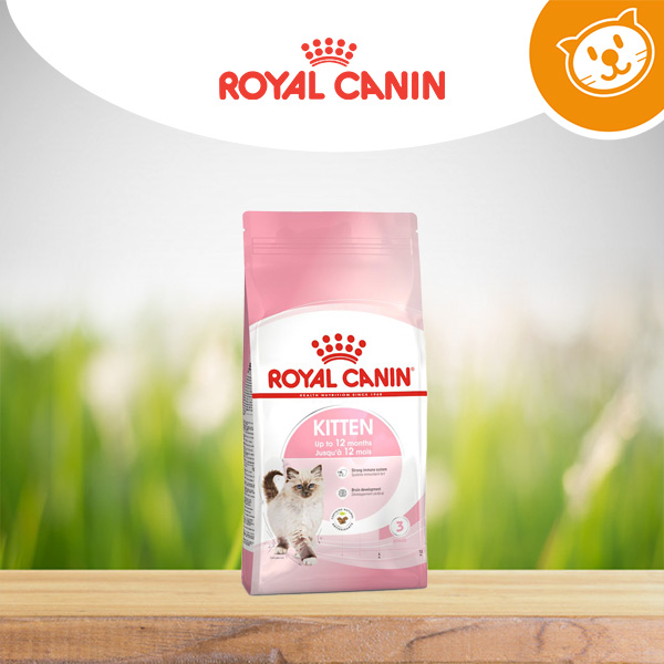 Royal Canin Speciale Gatti Kitten