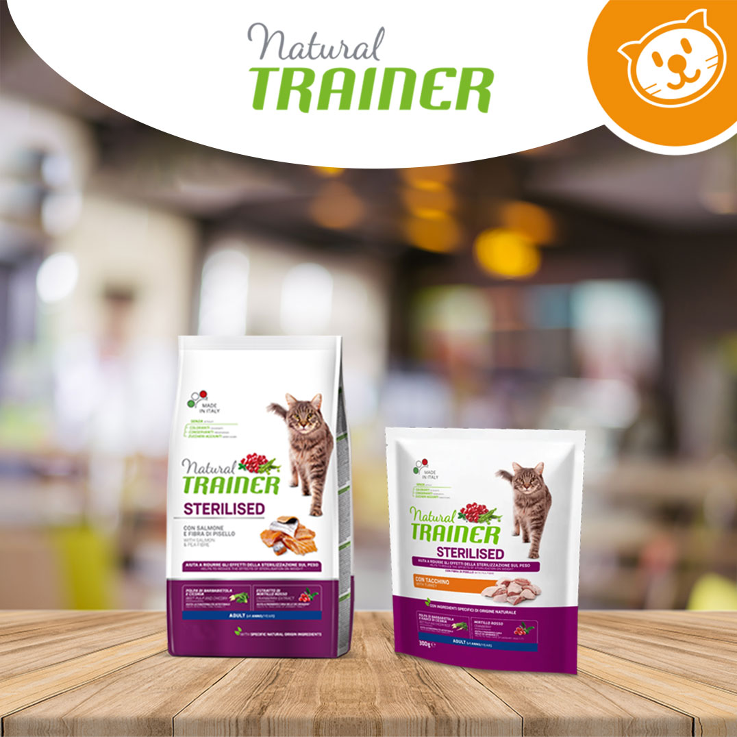 Trainer Natural Cat