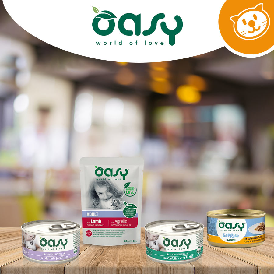 Oasy Gatto Umido