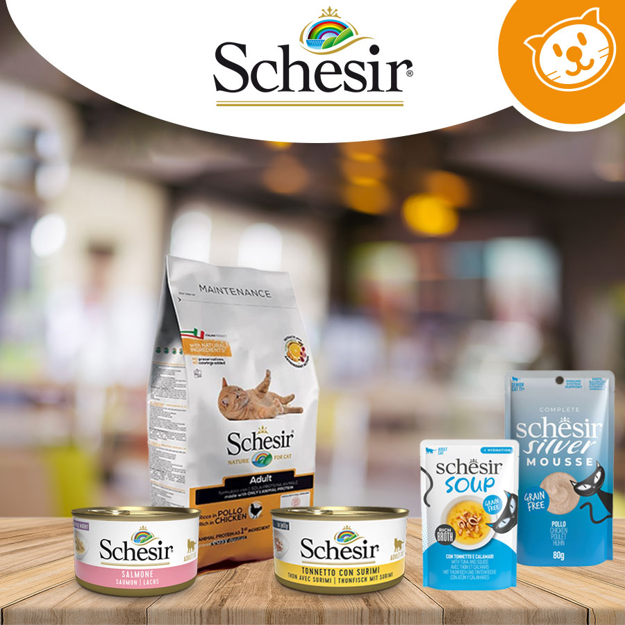 Schesir e Stuzzy Cat&Dog