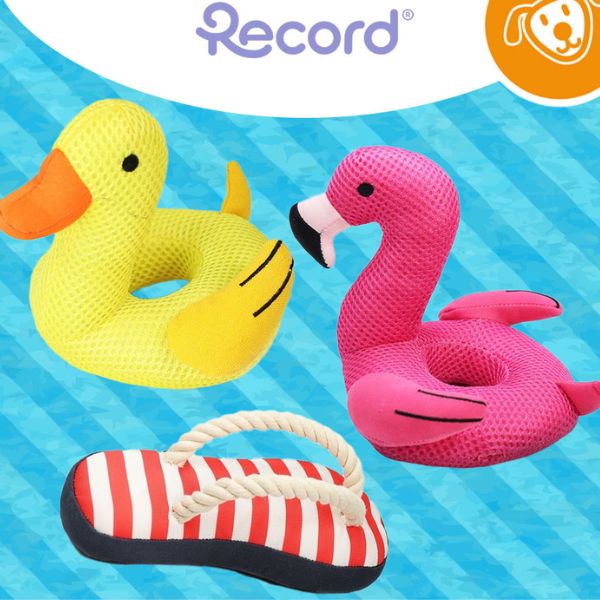 Record Giochi e Accessori Estivi