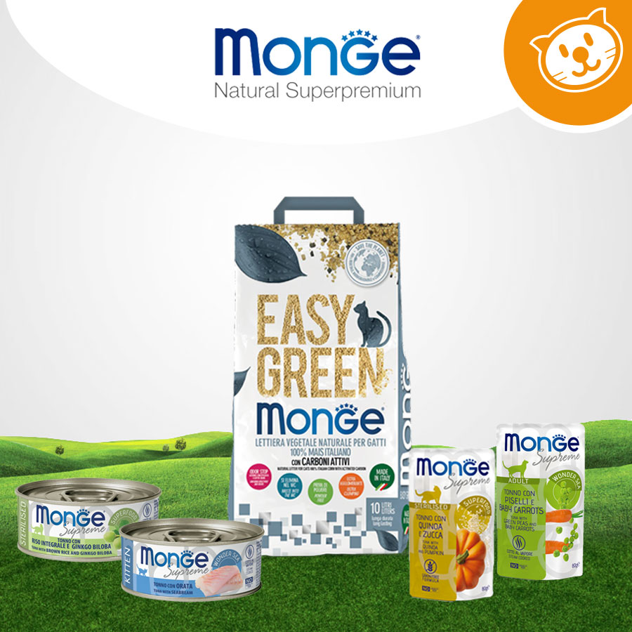 Monge Cat Umido