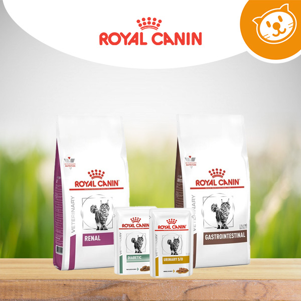 Royal Canin Gatti Umido&Secco Diet