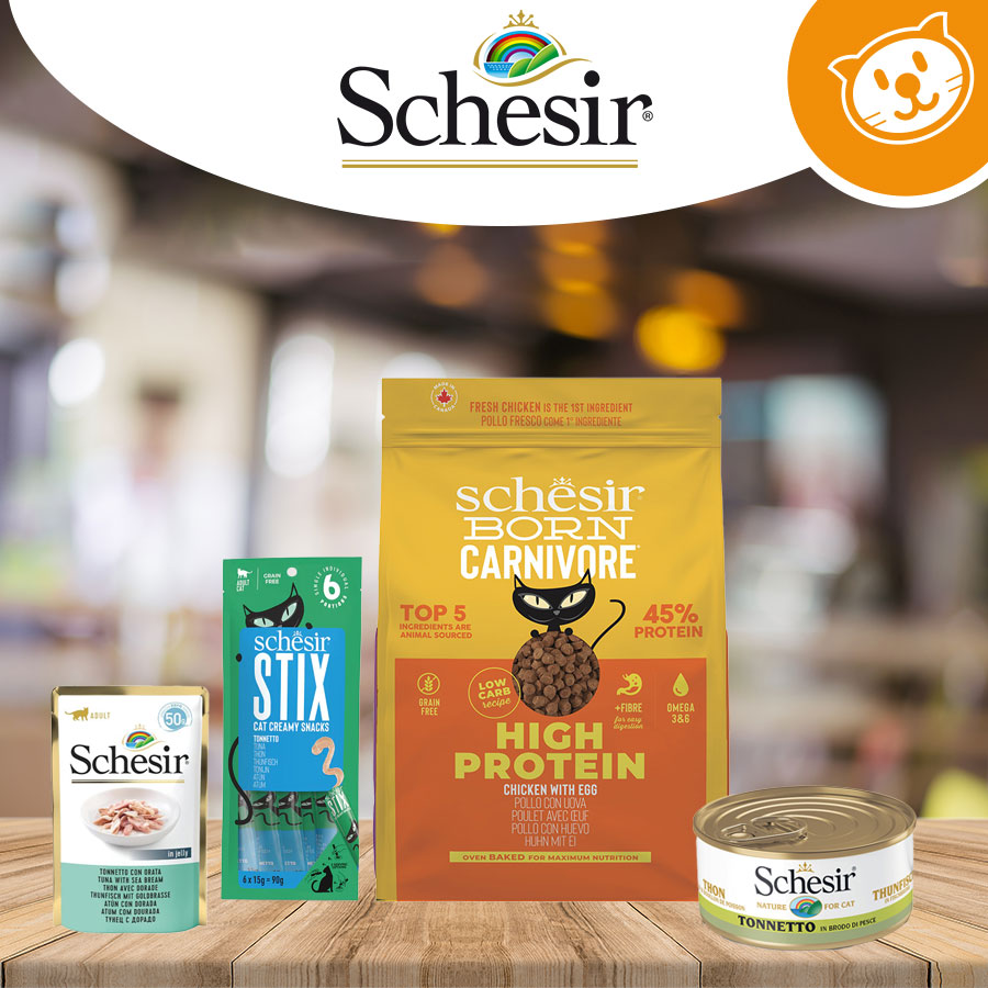 Schesir Cat Umido&Secco