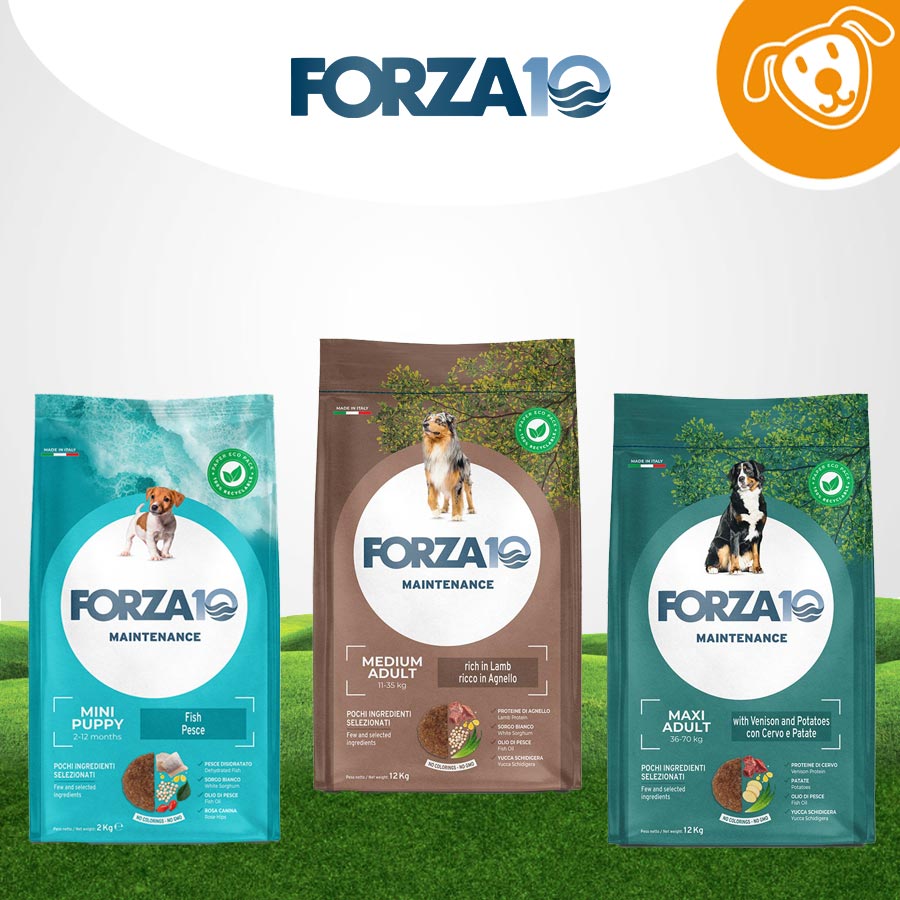 Forza 10 Dog  Secco