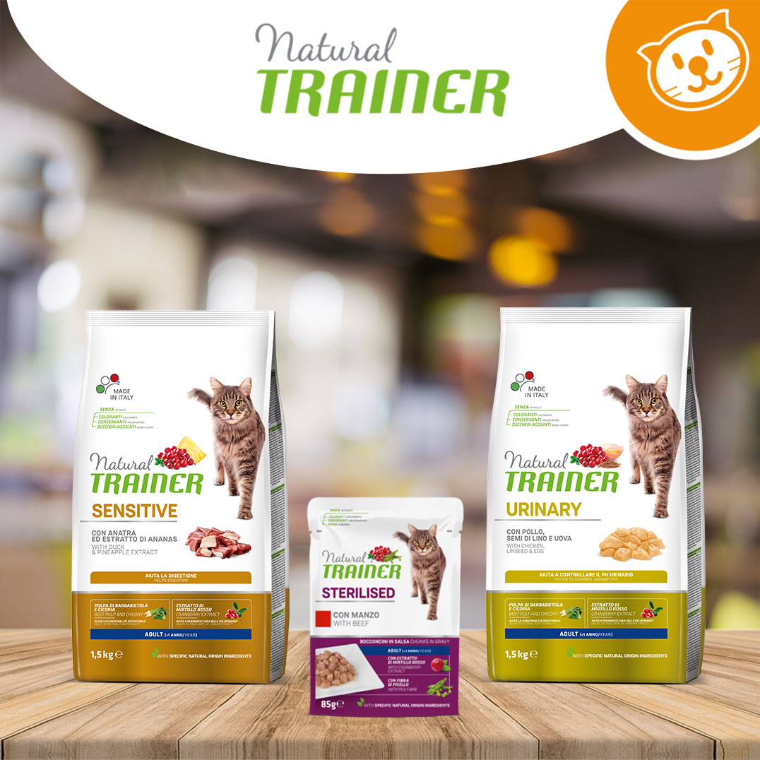 Natural Trainer Cat Umido&Secco