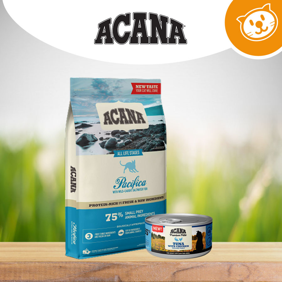 Acana Cat Umido&Secco