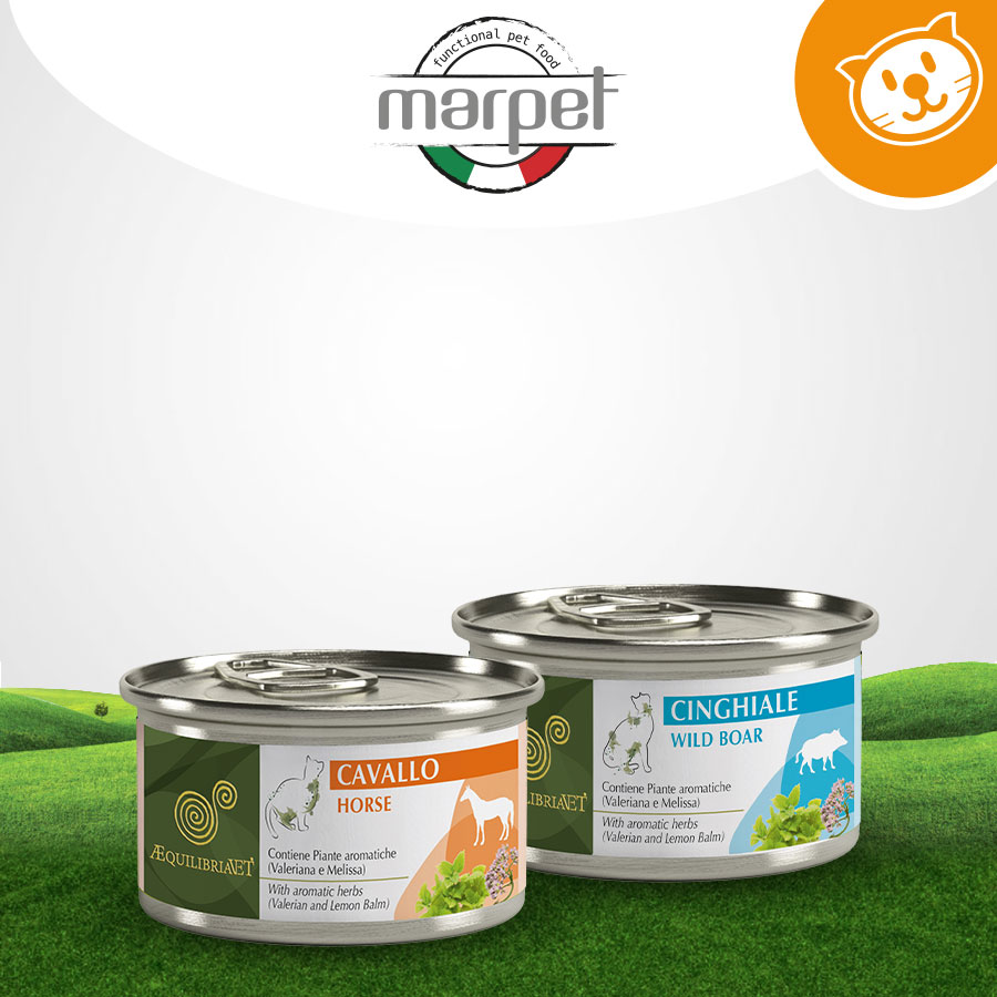 Marpet Cat Equilibria Umido