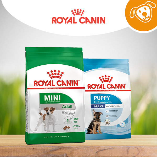 Royal Canin Dog  Secco