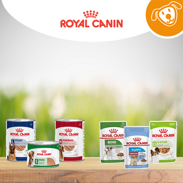 Royal Canin Umido