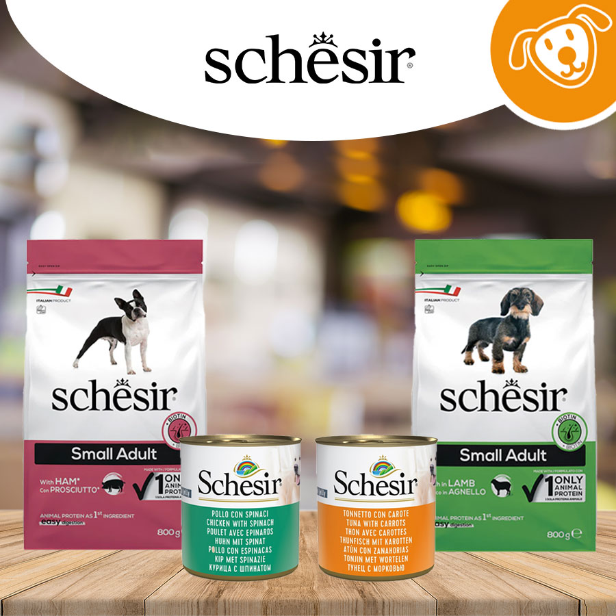 Schesir Cat Umido&Secco