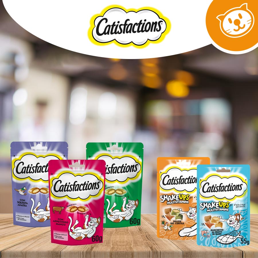 Catisfaction  Cat Umido