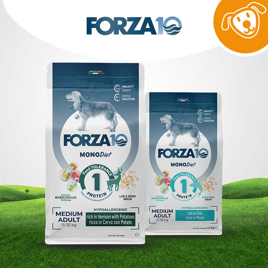 Forza 10 Dog Secco