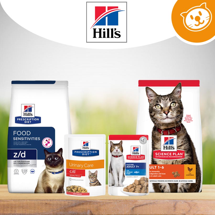 Hill's Gatto Umido&Secco