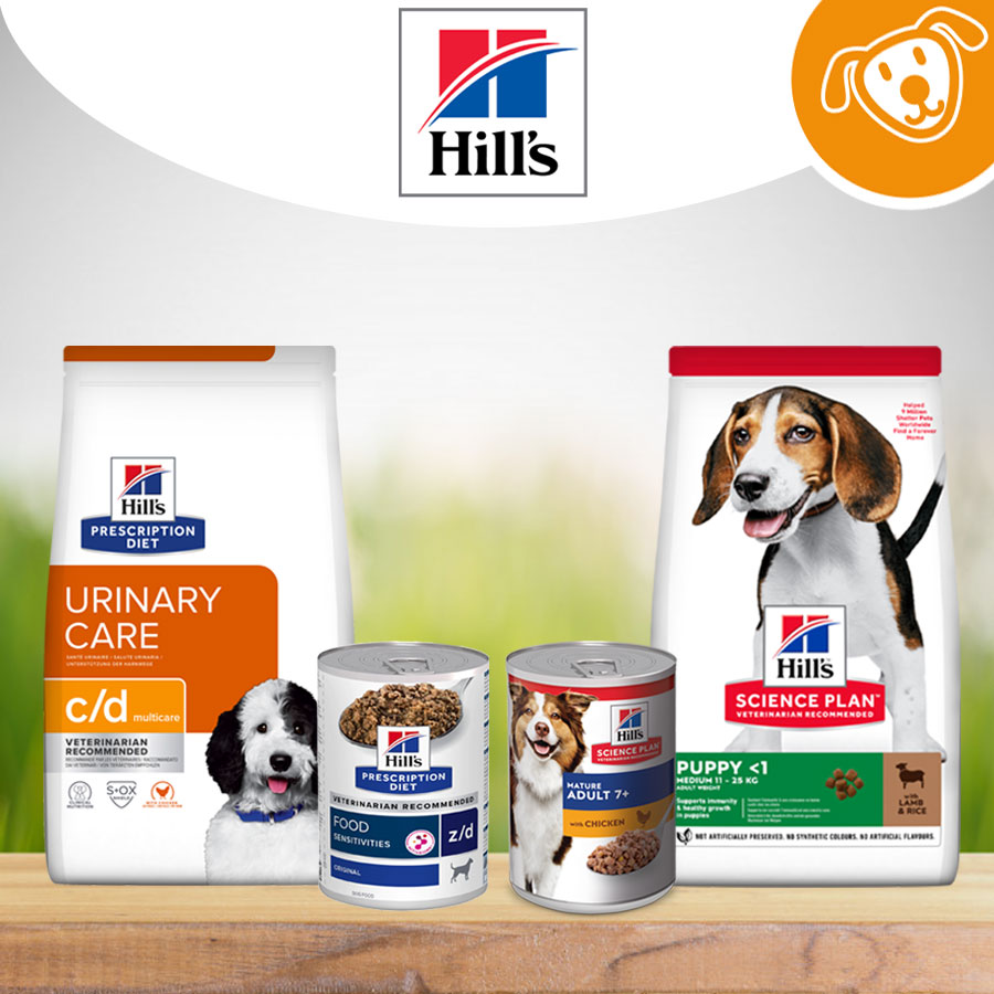 Hill's Cane Umido&Secco