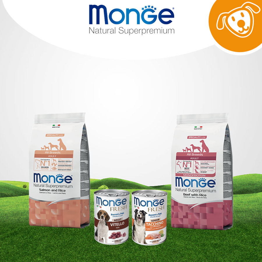 Monge Dog Umido&Secco
