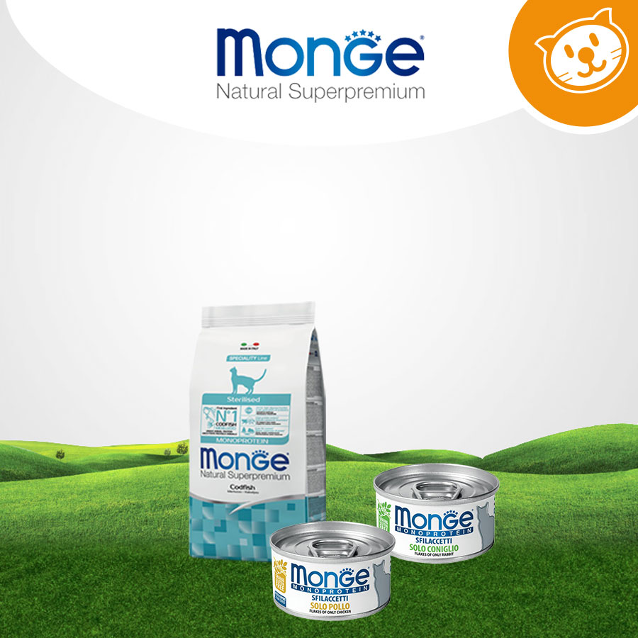 Monge Cat Umido&Secco