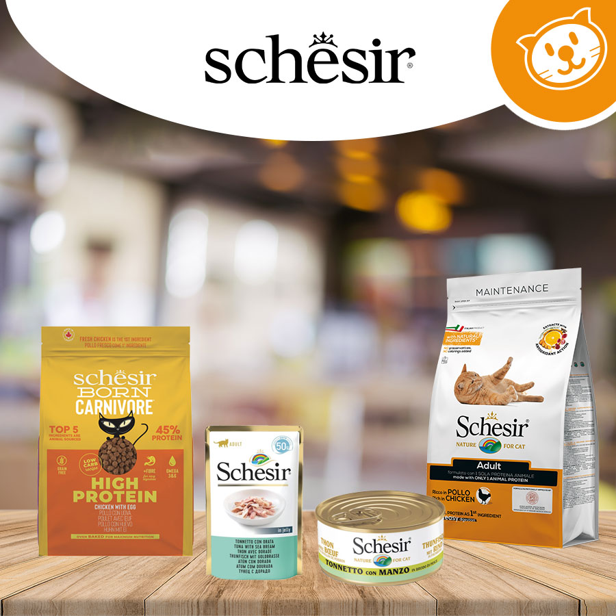Schesir Cat Umido&Secco
