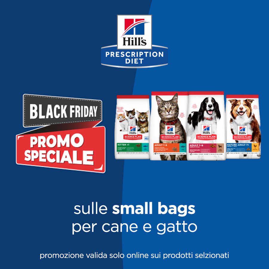 Hill's Black Friday  Secco