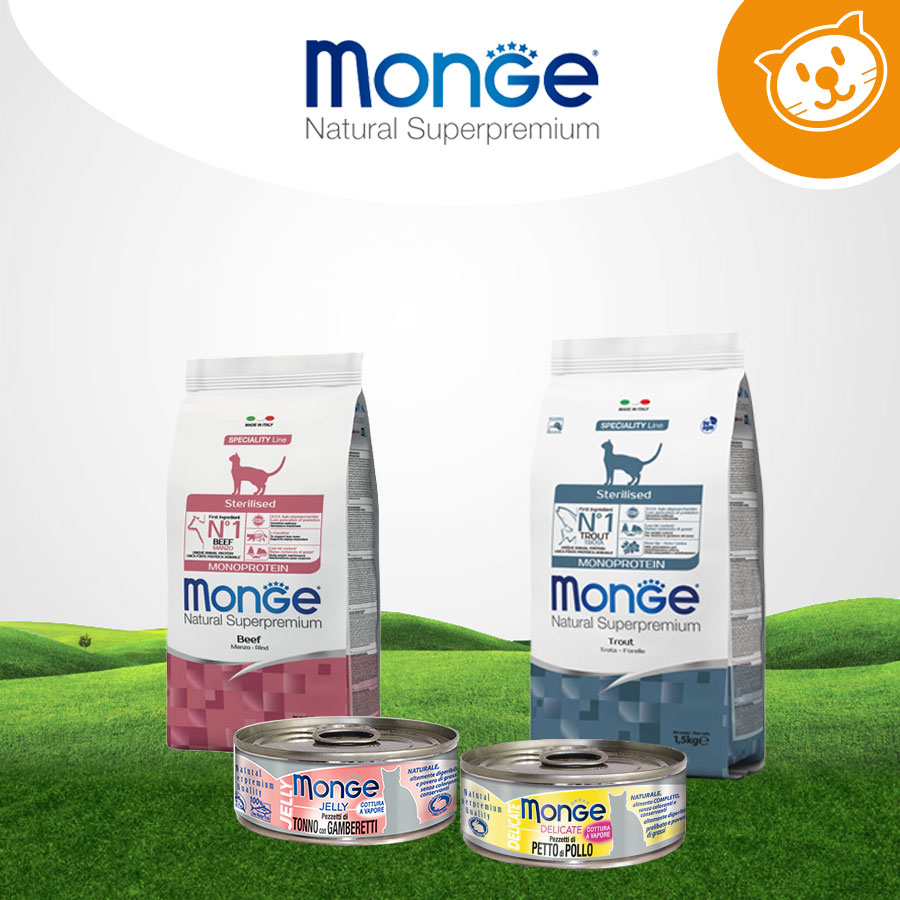 Monge Cat Umido&Secco