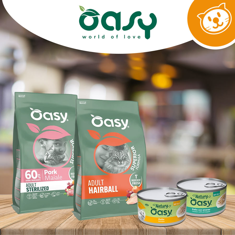 Oasy Gatto Umido