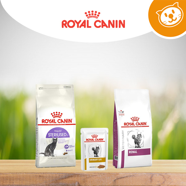 Royal Canin  Cat Diet Umido&Secco