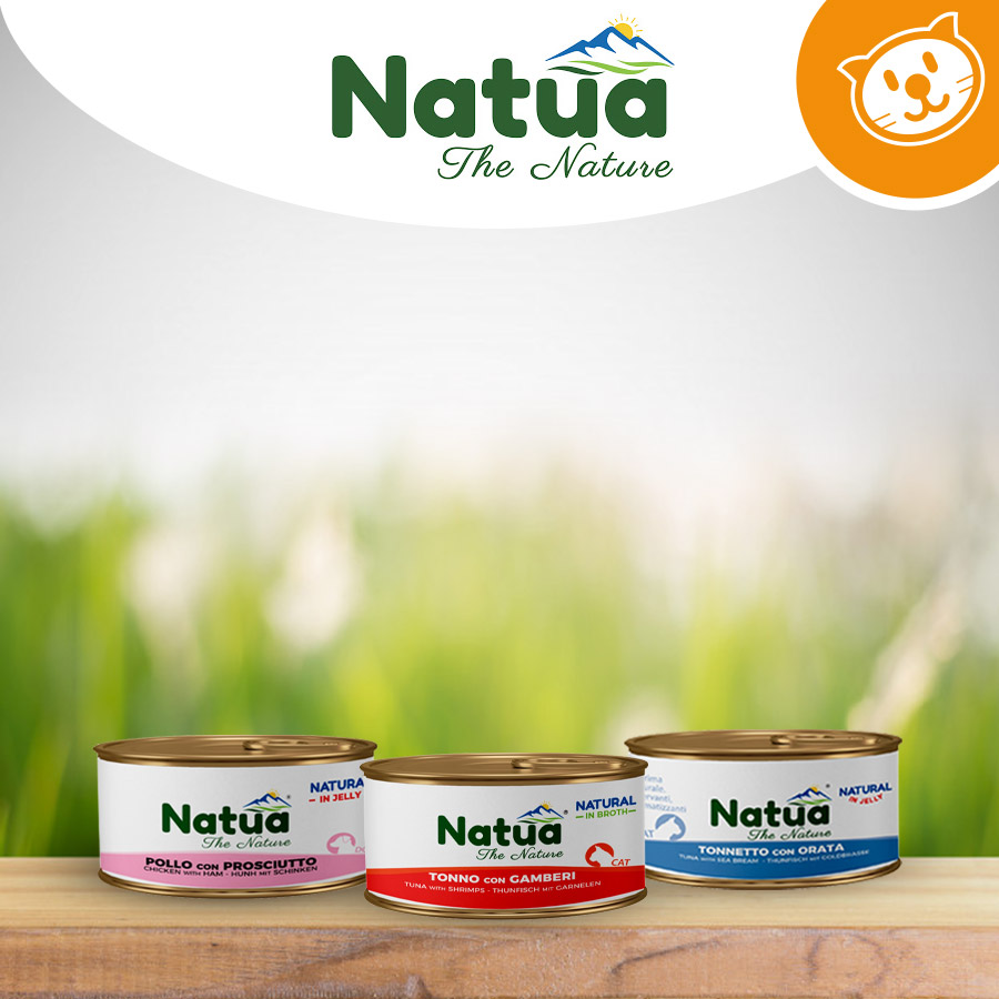 Natua Cat Umido
