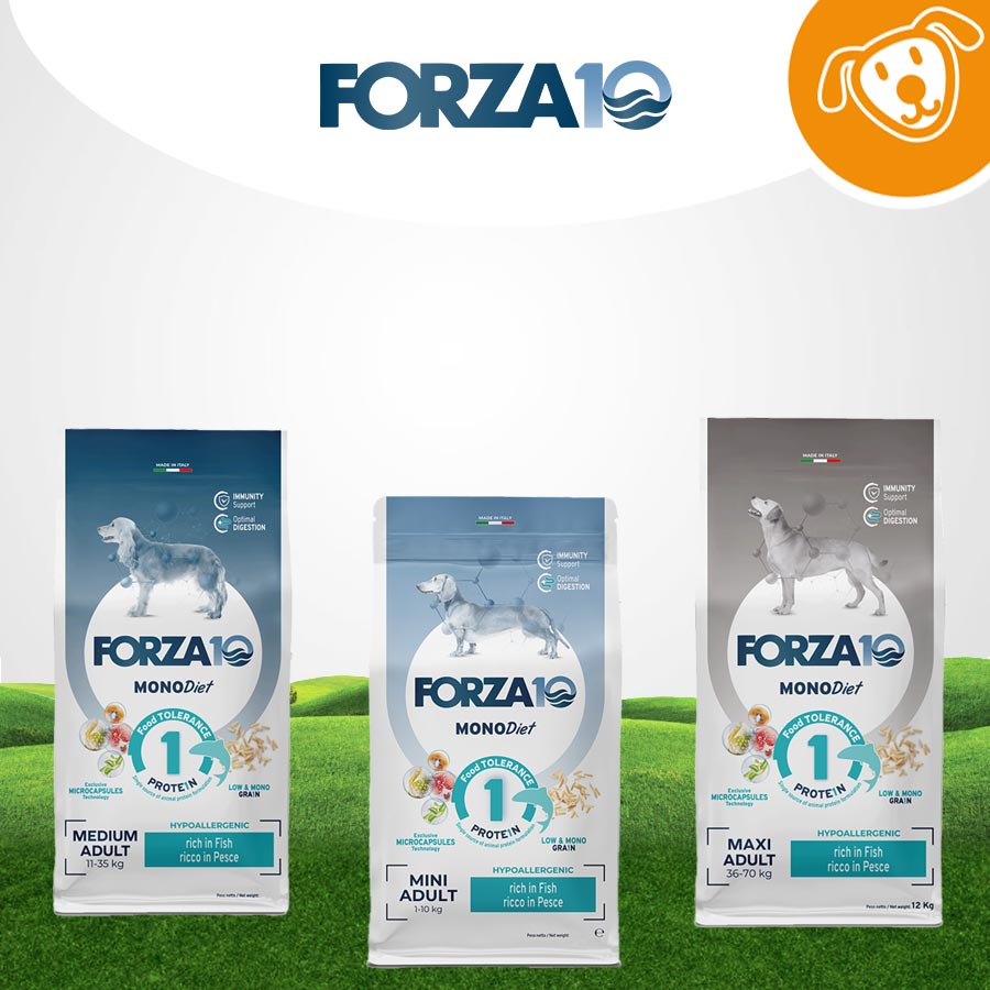 Forza 10 Dog Secco