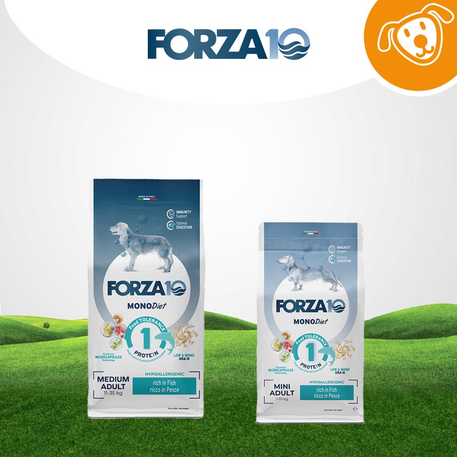 Forza 10 Dog Secco