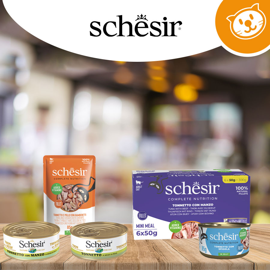 Schesir Cat Umido