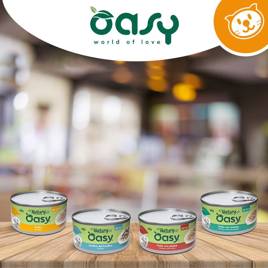 Oasy Gatto Umido