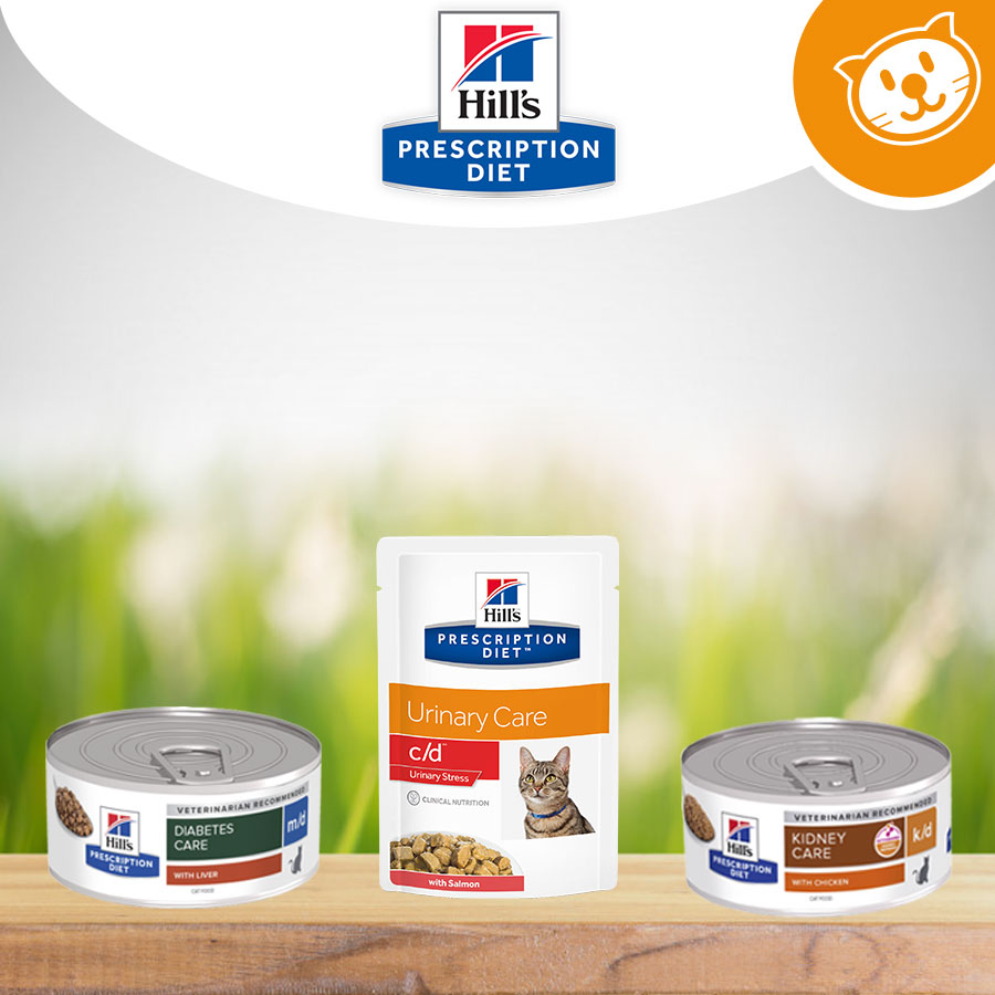 Hill's Gatto Umido&Secco