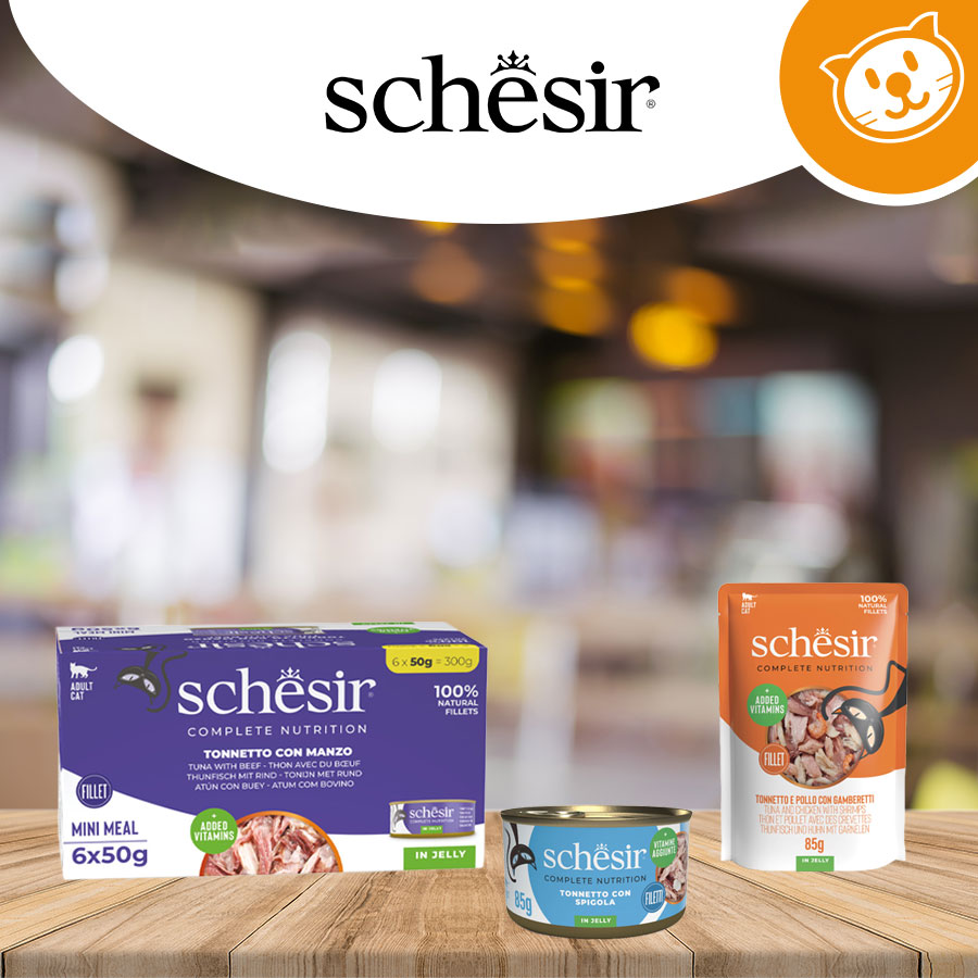 Schesir Cat Umido