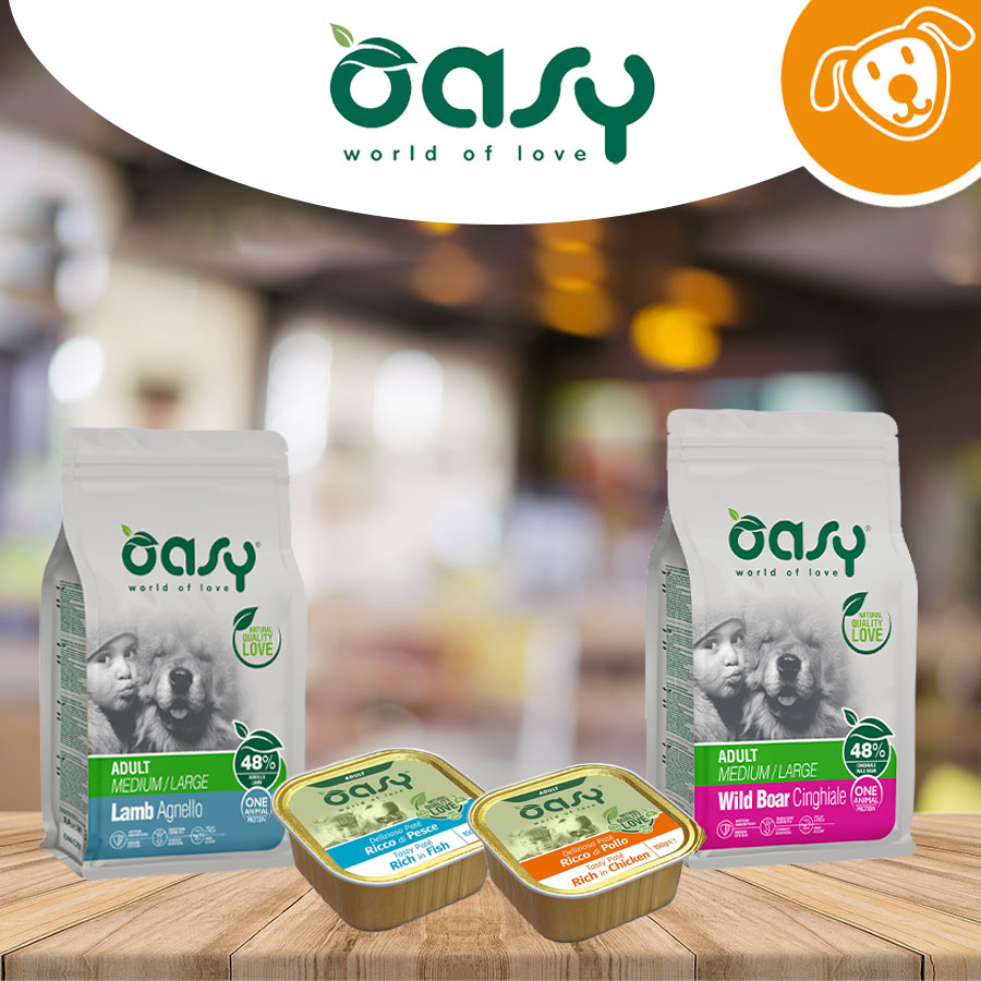 Oasy Dog