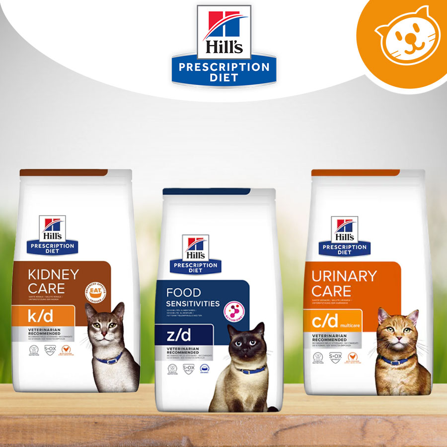Hill's Gatto Umido&Secco