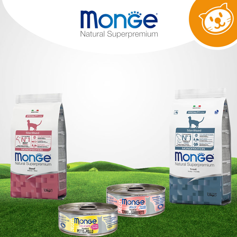 Monge Cat Umido&Secco