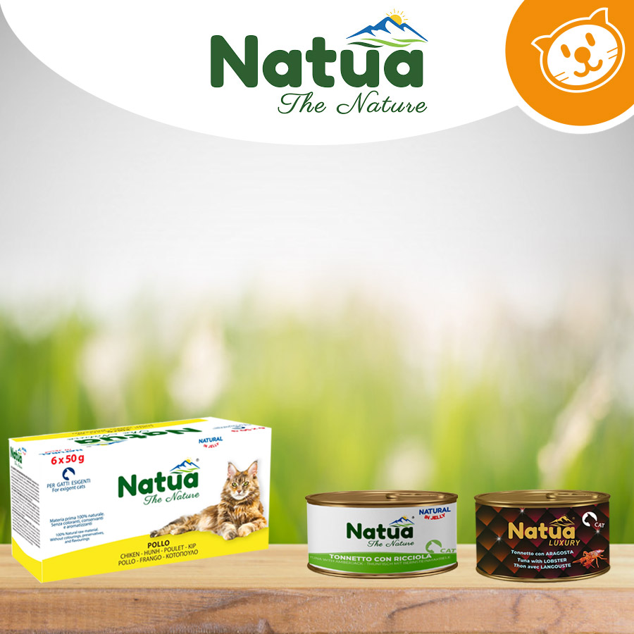 Natua Cat Umido